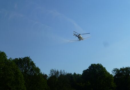 Large-scale application of insecticides against oak processionary moths