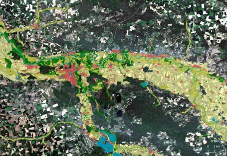 Sentinel-2 RGB satellite image of Dessau-Roßlau (date of recording: June 21, 2020), overlaid with the data product “Riparian Zones” (reference year 2012), provided by the Copernicus Land Service.