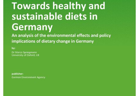 Cover von 2023-05-10_TEXTE_67-2023_Towards_ healthy