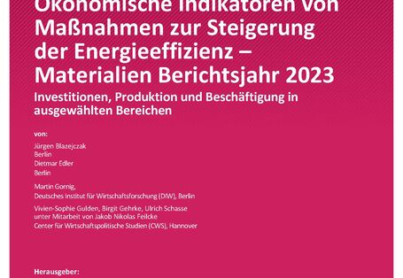 Cover des Berichts "Ökonomische Indikatoren von Maßnahmen zur Steigerung der Energieeffizienz - Materialien Berichtsjahr 2023"