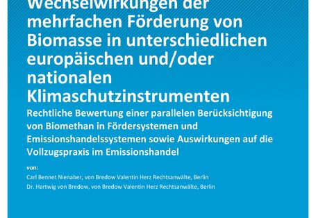 Cover des  Berichts "Wechselwirkungen der mehrfachen Förderung von Biomasse in unterschiedlichen europäischen und/oder nationalen Klimaschutzinstrumenten"