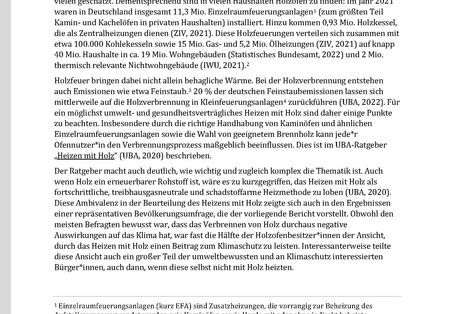 Cover des Factsheets "Umweltbewusstsein in Deutschland 2020: Ergebnisse einer Zusatzbefragung zum Thema „Heizen mit Holzöfen“