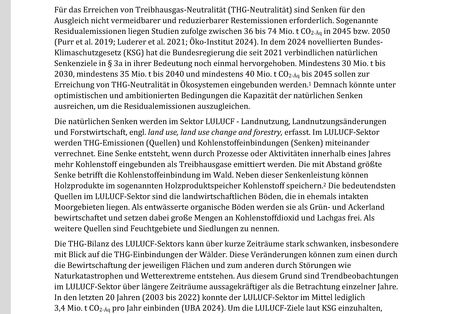 Cover des Factsheets "Netto-null in 2045: Ausbau der Senken durch klimaresiliente Wälder und langlebige Holzprodukte"