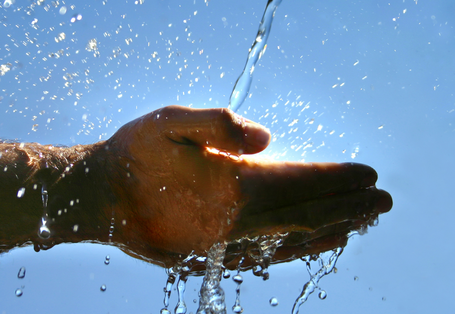 Zwei Hände werden in einen Wasserstrahl gehalten. Im Hintergrund scheint die Sonne.