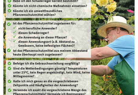 Umwelt-Checkliste für Pflanzenschutz im Hobbygarten mit einem bärtigen Mann mit Brille und Hut, der die Rosen schneidet im Hintergrund