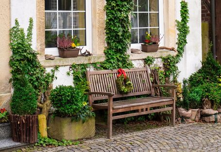 Efeu wäschst die Fassade hoch