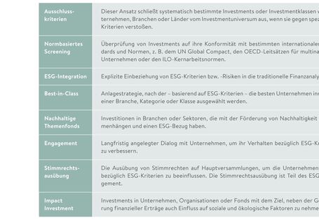 Tabellen-Grafik: Das FNG hat Daten zu acht Anlagestrategien erhoben.