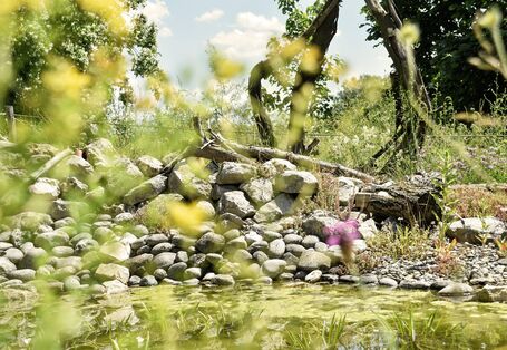 Gartenteich mit Steinen und Grün drumherum