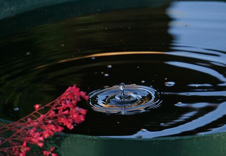 Reentonne mit Wasser gefüllt