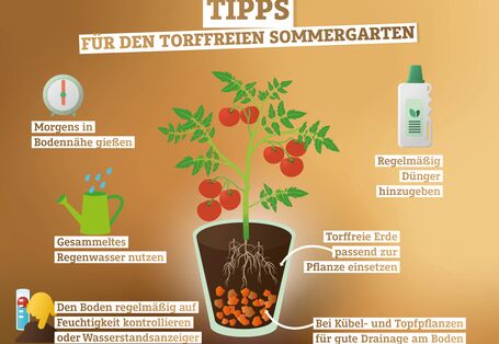 Infografik mit Tipps für den torffreien Sommergarten
