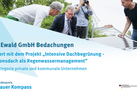 Die Grafik zeigt das nominierte Projekt der Heinz Ewald GmbH Bedachungen.