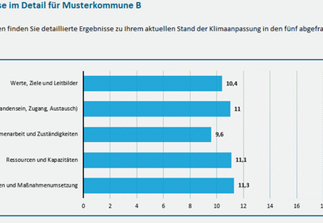 Die Grafik zeigt exemplarische Ergebniswerte für die fünf Bereiche des Anpassungsscanners: Werte, Ziele und Leitbilder; Wissen; Zusammenarbeit und Zuständigkeiten; Ressourcen und Kapazitäten; Strategien und Maßnahmenumsetzung