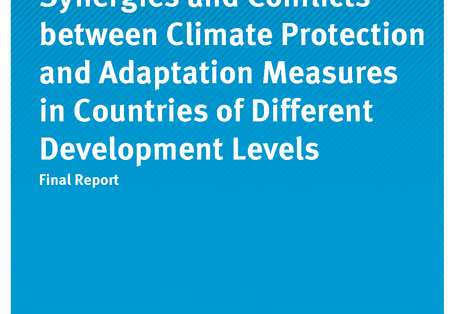Cover of publication Climate Change 19/2017 Synergies and Conflicts between Climate Protection and Adaptation Measures in Countries of Different Development Levels