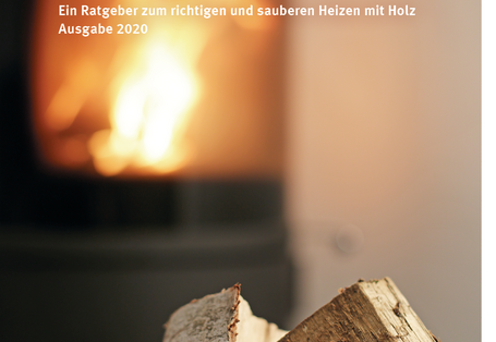 Cover Heizen mit Holz