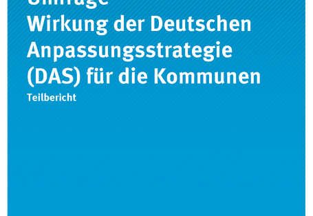 Cover der Publikation CLIMATE CHANGE 01/2019 Umfrage Wirkung der Deutschen Anpassungsstrategie (DAS) für die Kommunen