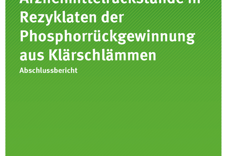 Cover der Publikation TEXTE 31/2019 Arzneimittelrückstände in Rezyklaten der Phosphorrückgewinnung aus Klärschlämmen