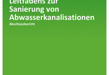 Cover der Publikation TEXTE 100/2019 Erstellen eines Leitfadens zur Sanierung von Abwasserkanalisationen