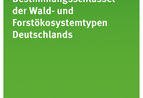 Cover der Publikation TEXTE 99/2019 Bestimmungsschlüssel der Wald- und Forstökosystemtypen Deutschlands