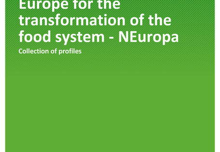 Cover of publication TEXTE 120/2020 Niche innovations in Europe for the transformation of the food system - NEuropa