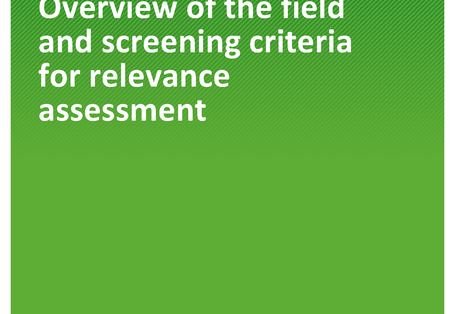 Cover der Publikation TEXTE 132/2020 Advanced materials: Overview of the field and screening criteria for relevance assessment