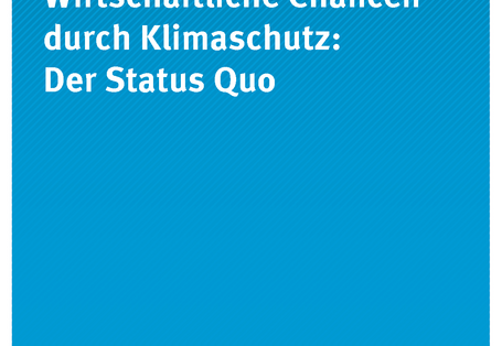 Cover der Publikation CLIMATE CHANGE 17/2019 Wirtschaftliche Chancen durch Klimaschutz: Der Status Quo