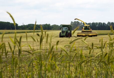 Mähdrescher bei der Ernte