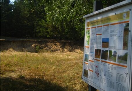 Foto eines Braunerdeaufschlusses mit Infotafel