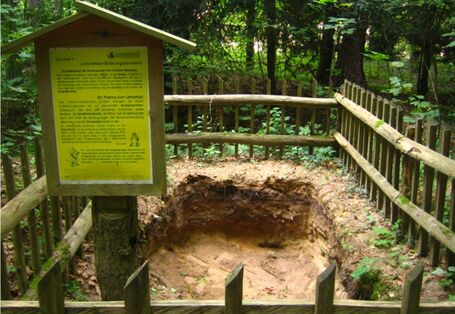 Foto einer kolluvial überprägten Braunerde