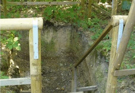 Profil einer Parabraunerde