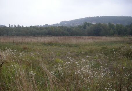  Foto der Landschaftsentwicklung auf der ehemaligen Deponie Eskeberg