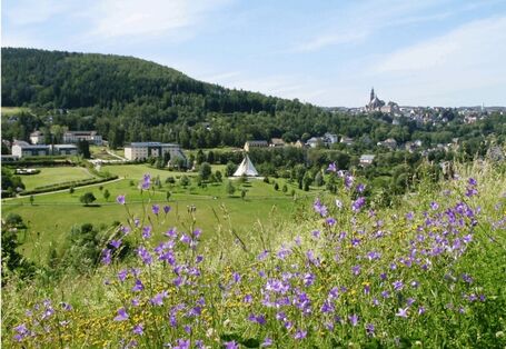 Foto des Kurparks in Bad Schlema