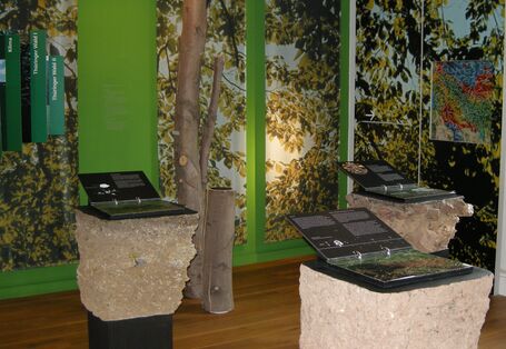 Foto der Ausstellung im Museum