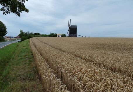 Foto der Lanschaft um Hildesheim