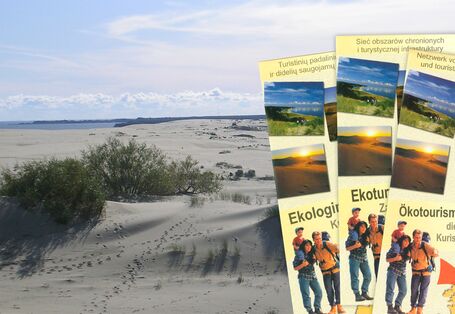 Bild einer Informationsbroschüre in mehreren Sprachen