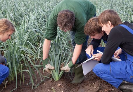 Фотография подростков, изучающих сельское хозяйство