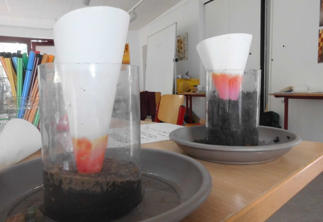 Im Boden kann sich Wasser - entgegen der Schwerkraft - nach oben bewegen!