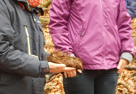 Vorstellung eines besonderen Bodenfundstücks 