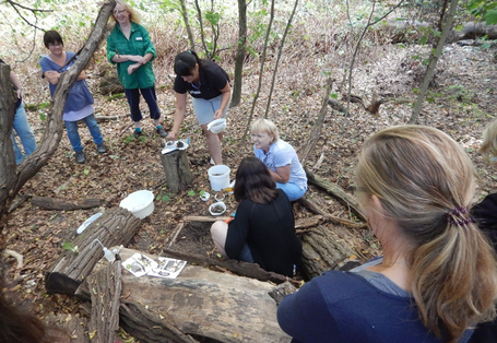 Erkundung des Bodens mit dem Bodenrahmen (Bodenfenster)