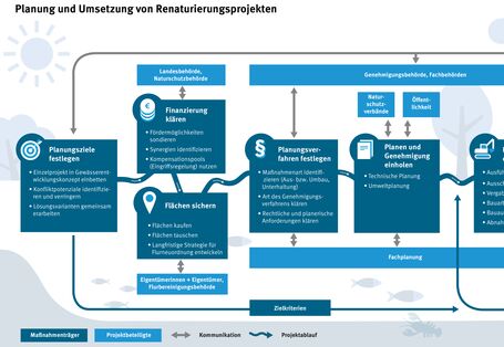 Schematische Darstellung der Phasen eines Projektes zur Gewässerrenaturierung.