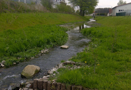 Foto: Renaturierter Heerener Mühlbach mit abgeflachten Ufern. Der Uferverbau ist vollständig entfernt.