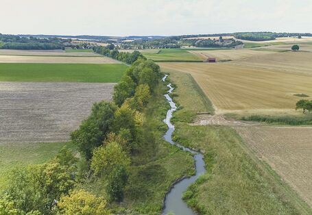 Luftbild der Wern, die schwach geschwungen in einem Entwicklungskorridor verläuft. Ein Ufer ist mit dichten Gehölzen bewachsen. Entlang des gegenüberliegenden Ufers wachsen Gräser. An den Entwicklungskorridor grenzen landwirtschaftliche Flächen an.