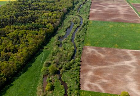 Luftbild eines renaturierten Abschnitts der Wümme. Mehrere Nebengerinne liegen entlang des geschwungenen Verlaufs des Hauptgewässers. Auf der einen Seite des Gewässers trennt ein Saum aus Gehölzen das Gewässer von den angrenzenden landwirtschaftlichen Flächen ab. Auf der anderen Seite finden sich Gras- und Waldflächen. 