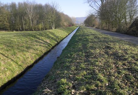 A embanked ditch with a very straight course. Riverbank vegetation consists only of short grass. Paths run along the tops of the dyke.