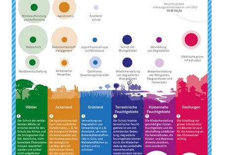 Globales Klimaschutzpotential von verschiedenen naturbasierten Lösungen.