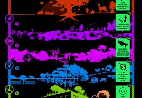 Naturbasierte Lösungen: Lokal angemessene und anpassungsfähige Maßnahmen zum Schutz der Ökosysteme.