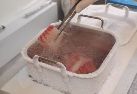 Processing of a fish samples at the University of Trier