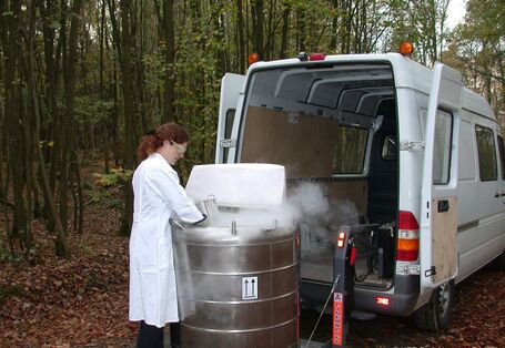 Tree sampling in the forest