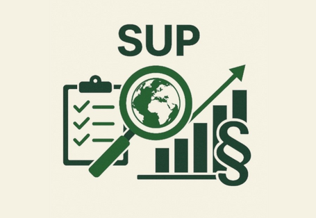 Das Bild zeigt Symbole der Strategischen Umweltprüfung. (Parargraf, Lupe, Diagramm)