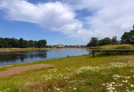 Die Elbe bei Coswig