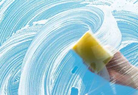 Schwamm auf einer Fensterscheibe